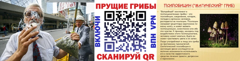 blacksprut ТОР  купить   Анива  Галлюциногенные грибы Psilocybine cubensis 