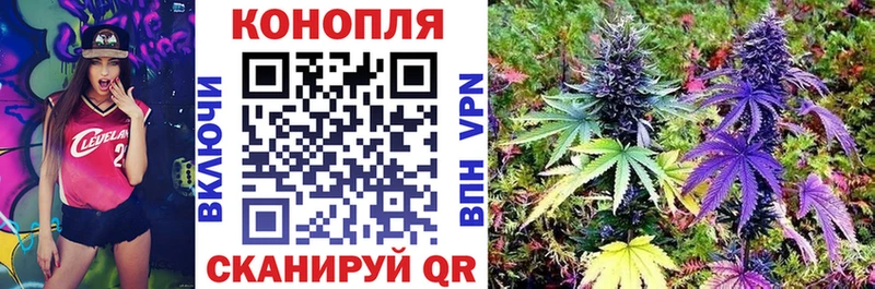 Бошки Шишки конопля Анива